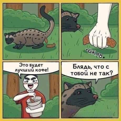 Блядь, что с не так?