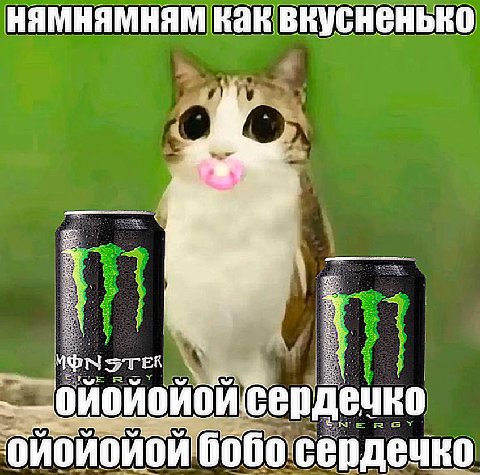 HAMHAMHAM как вкусненько ТЕК бердечко сердечко