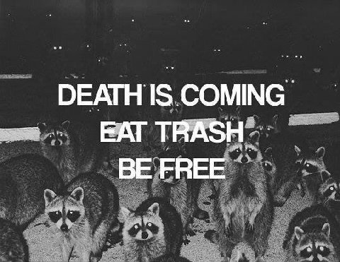 ОЕАГН IS COMING TRASH BE FREE