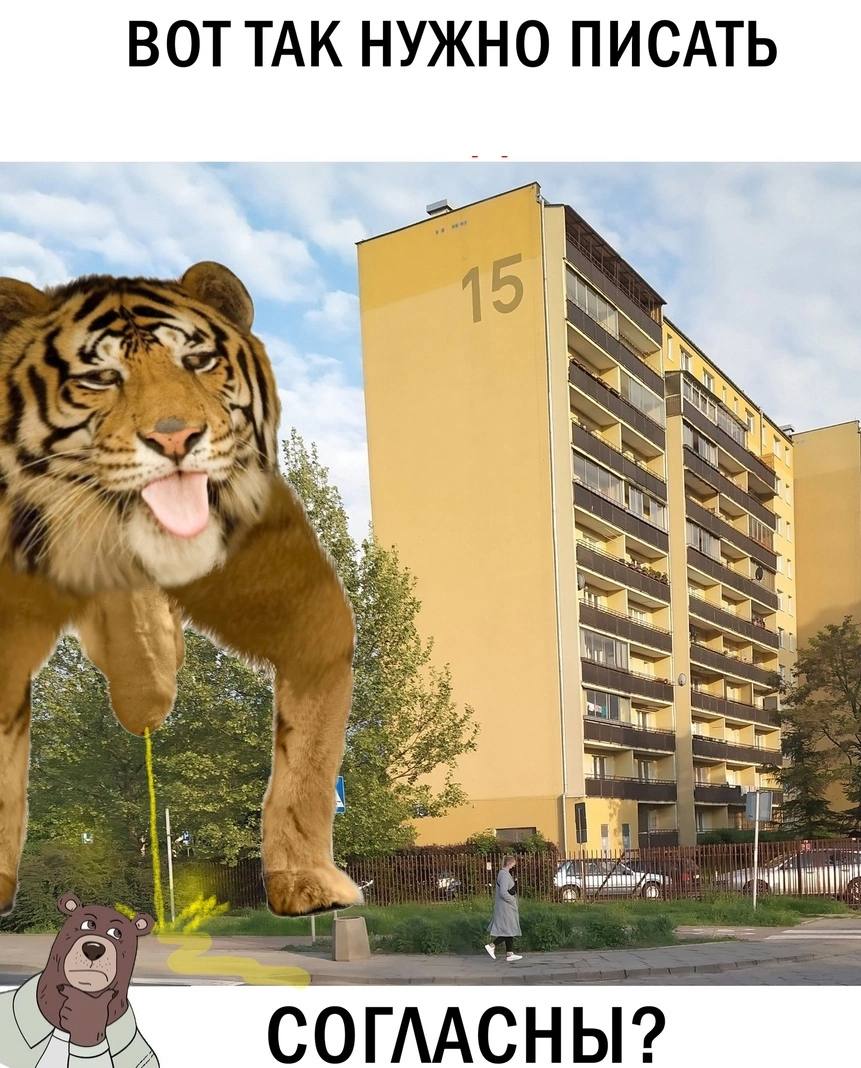 ВОТТАК НУЖНО ПИСАТЬ 15 2 1 as