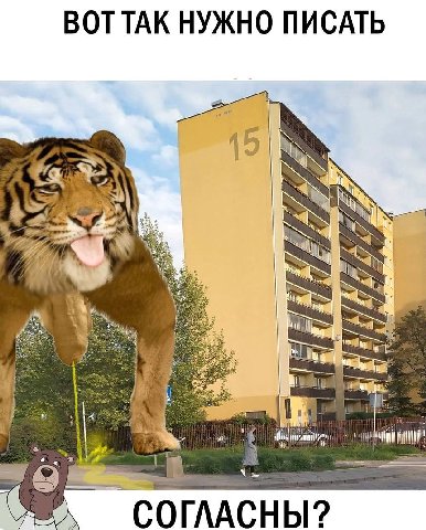 ВОТТАК НУЖНО ПИСАТЬ 15 2 1 as