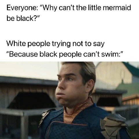 Everyone: “Why can't the little mermaid be black?" White people trying not to say “Because black people can’t swim:”