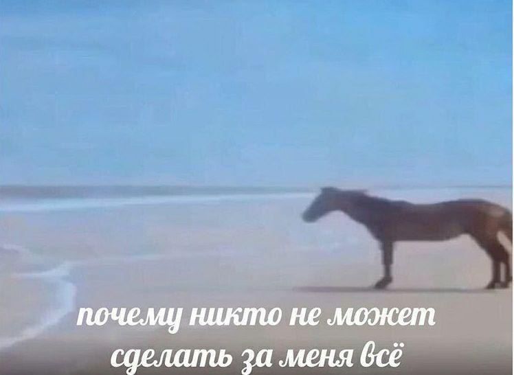почему никто не может сделать за меня всё