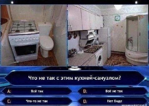 Что не так с этим кухней-санузлом? А: Всё так Всё не так Что-то не так Нет биде