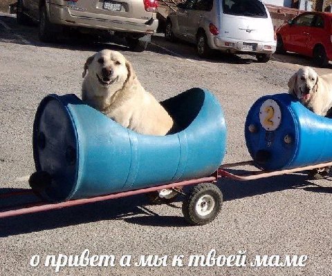 4 MOTK