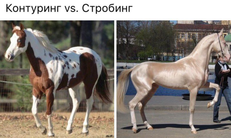 Контуринг Стробинг