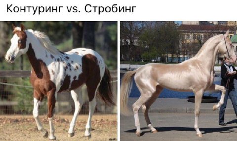 Контуринг Стробинг