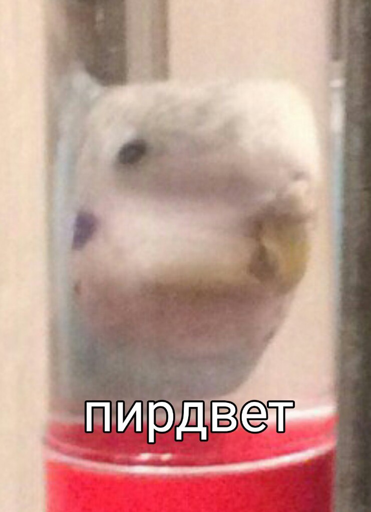 в и
