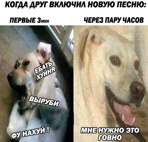 КОГДА ДРУГ ВКЛЮЧИЛ НОВУЮ ПЕСНЮ: ПЕРВЫЕ Змин ЧЕРЕЗ ПАРУ ЧАСОВ у НУЖНО