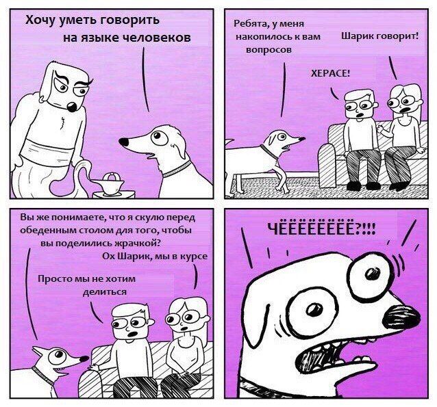 Хочу уметь говорить Ребята, у меня на языке человеков накопилось к вам Шарик говорит! вопросов XEPACE! RSS 272722 Вы же понимаете, что я скулю перед обеденным столом для того, чтобы ЧЕЕЕЕЕЕ вы поделил