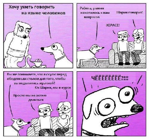Хочу уметь говорить Ребята, у меня на языке человеков накопилось к вам Шарик говорит! вопросов XEPACE! RSS 272722 Вы же понимаете, что я скулю перед обеденным столом для того, чтобы ЧЕЕЕЕЕЕ вы поделил