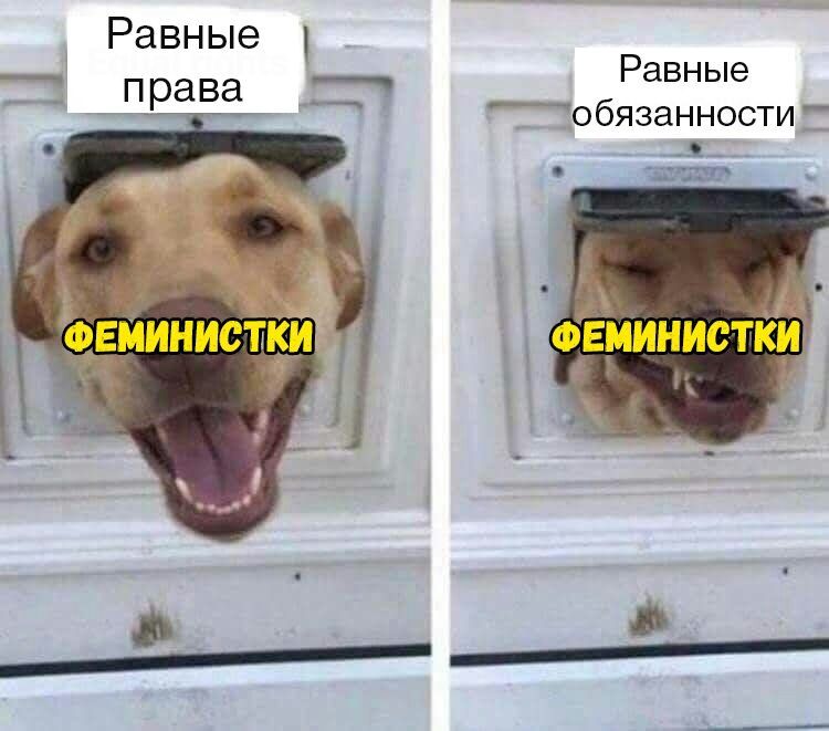 Равные 1 права Равные обязанности ФЕМИНИСТКИ ФЕМИНИСТКИ