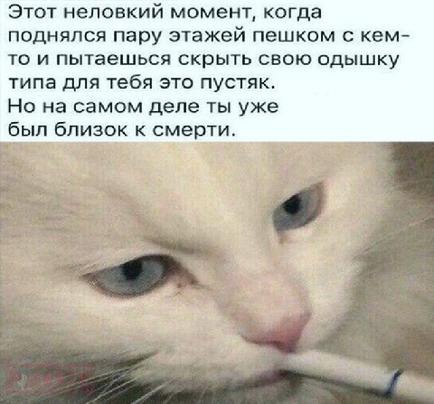 Этот неловкий момент, когда поднялся пару этажей пешком с кем- то и пытаешься скрыть свою одышку типа для тебя это пустяк. Но на самом деле ты уже был близок к смерти. 4