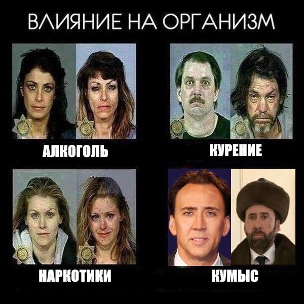 ВЛИЯНИЕ НА ОРГАНИЗМ АЛКОГОЛЬ КУРЕНИЕ НАРКОТИКИ КУМЫС