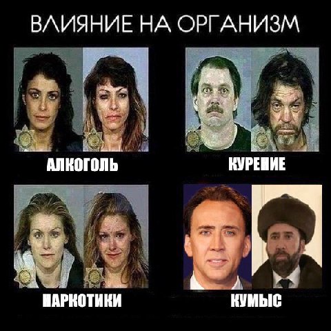 ВЛИЯНИЕ НА ОРГАНИЗМ АЛКОГОЛЬ КУРЕНИЕ НАРКОТИКИ КУМЫС
