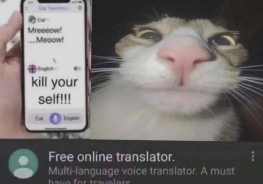 4 Kill your self!!! to Free online translator. Multi-lang voice A must