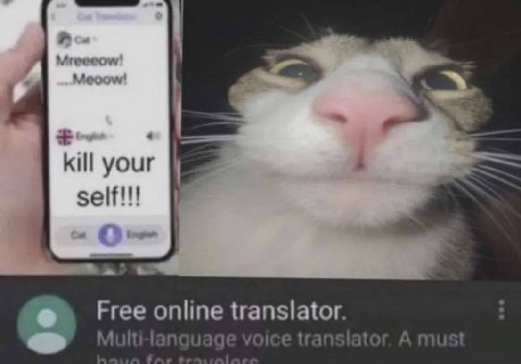 4 Kill your self!!! to Free online translator. Multi-lang voice A must
