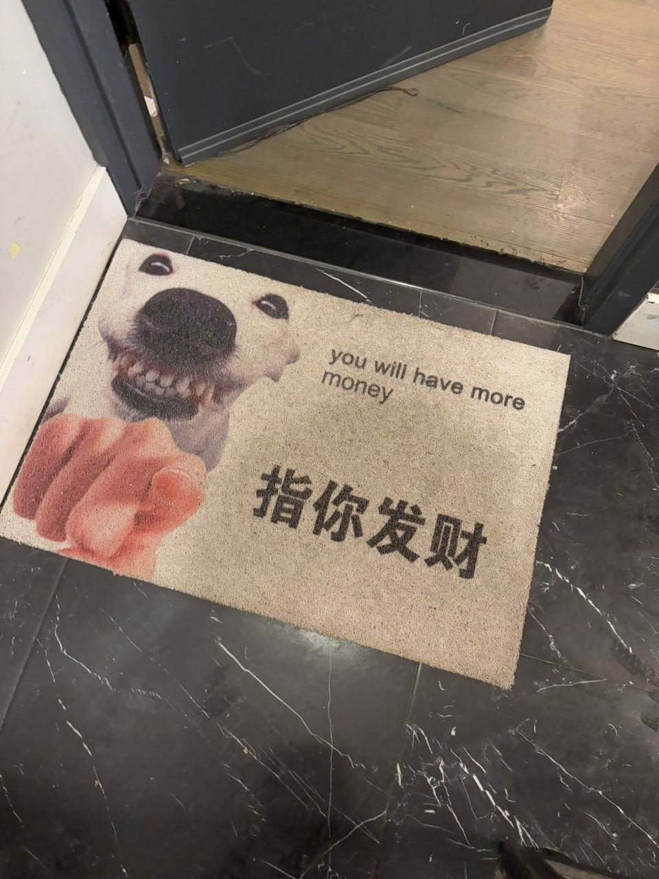You Топеу have Mor и