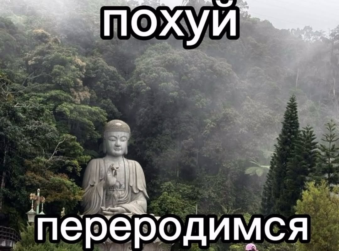 7 О И ‘переродимся