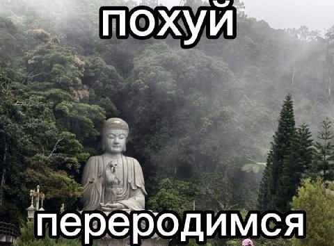 7 О И ‘переродимся