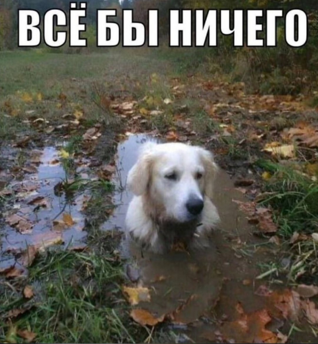 ВСЕБЫ НИЧЕГО