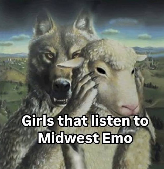 Girls tha listen to Midwest Emo