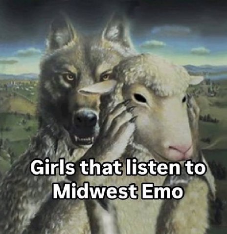 Girls tha listen to Midwest Emo