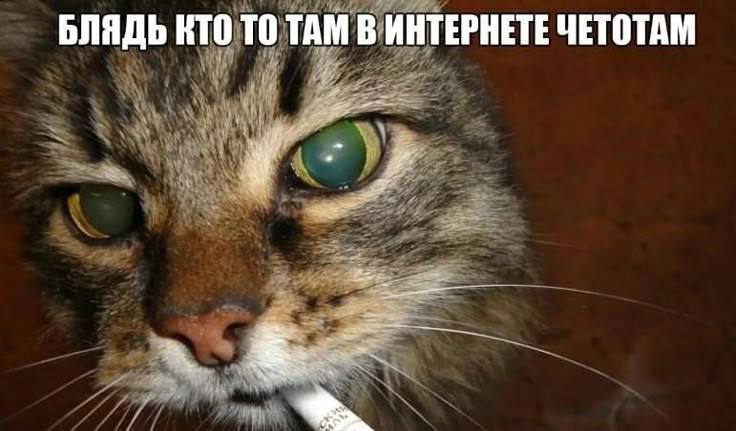 БЛЯДЬ КТО ТО ТАМ В ИНТЕРНЕТЕ ЧЕТОТАМ