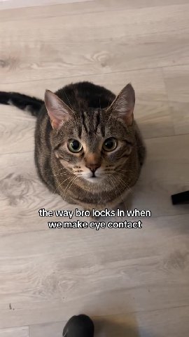 ithelwayibro,locksjinwhen) ithelwayibro locks\in when iwelmakeley.e\contact