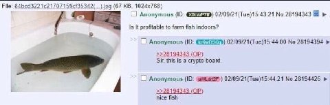 File: (67 С Anonymous 02/09/21(Тие)15:43:21 №.28194343 it profitable to farm fish indoors? Anonymous (10: No.28194394 >>28194343 Sir, this is a crypto board. Anonymous 02/09/21(Тие)15:44:21 No.2819442