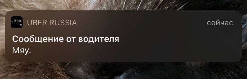 Uber UBER RUSSIA сейчас Сообщение от водителя May.