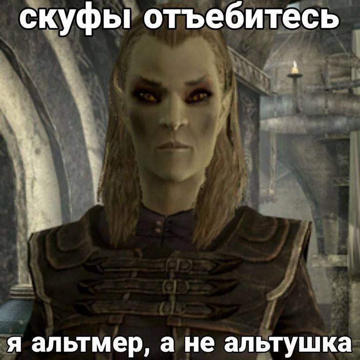 скуфы отъебитёсь А я альтмер, а не альтушка