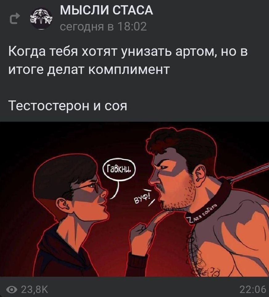МЫСЛИ СТАСА сегодня в 18:02 Когда тебя хотят унизать артом, но в итоге делат комплимент Тестостерон и соя 4 я 22:06