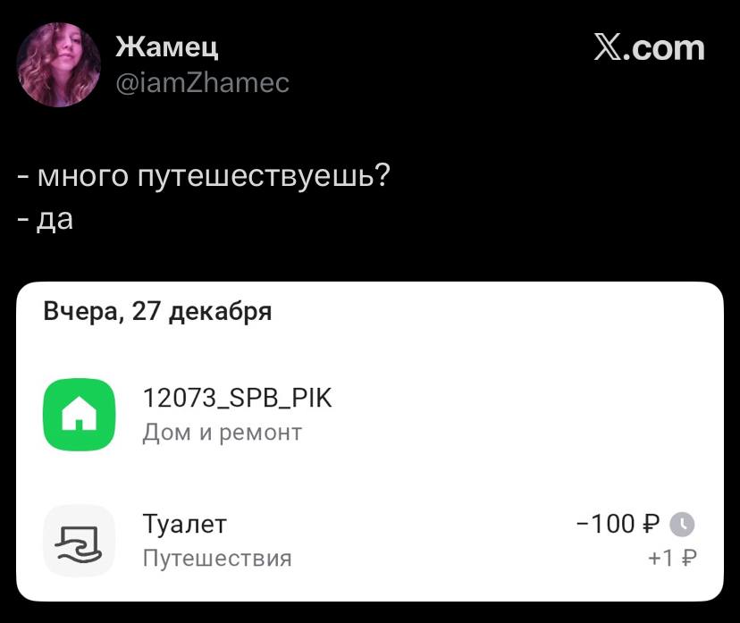 Жамец Х.сот много путешествуешь? да Вчера, 27 декабря и ремонт Туалет -100 Путешествия +1