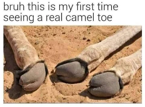 bruh this is my first time seeing a real camel toe war +2