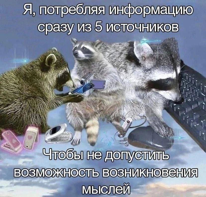 Я, потребляя информацию сразу из 5 источников a И не допус ily ВОЗМОЖНОСТЬ ВОЗНИКНОВ мыслей