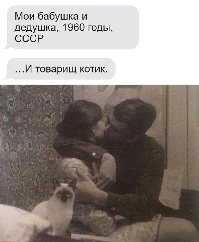 Мои бабушка и дедушка, 1960 годы, СССР ...И товарищ котик.