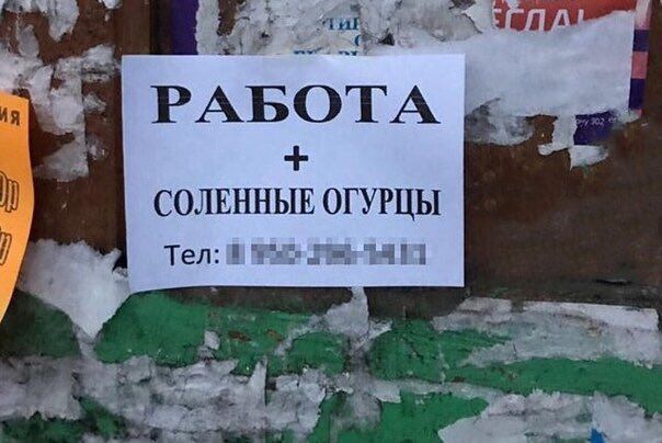 РАБОТА СОЛЕННЫЕ ОГУРЦЫ Ten: 8