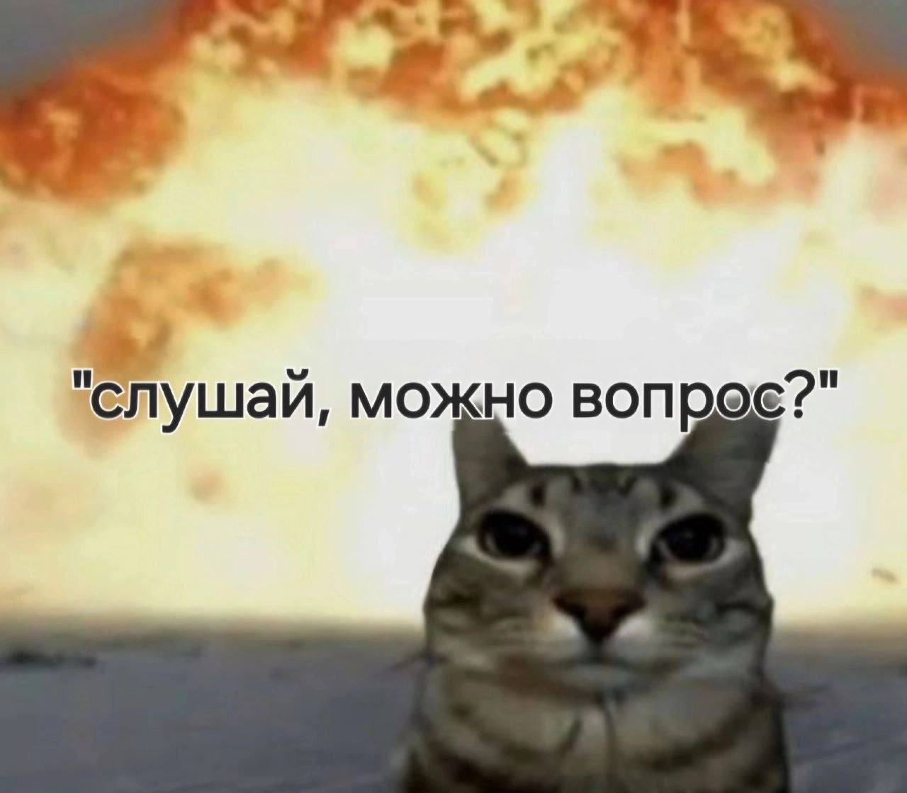 "слушай, можно