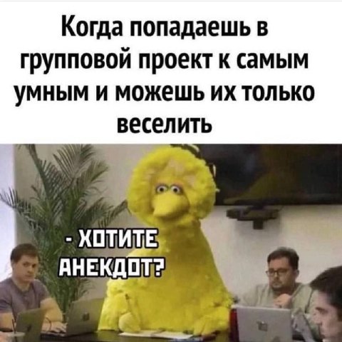 Когда попадаешь в групповой проект к самым умным и можешь только веселить АНЕКДОТ?