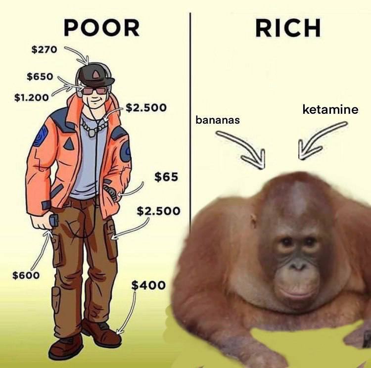 POOR RICH $270 $650 ananas К $65
