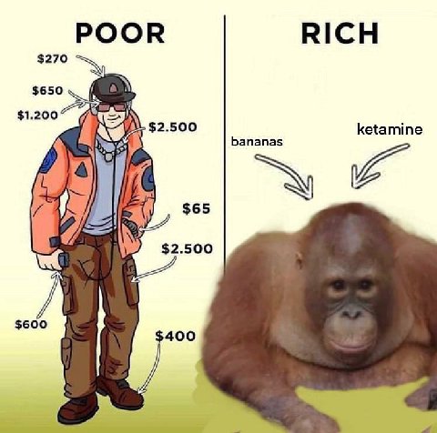 POOR RICH $270 $650 ananas К $65