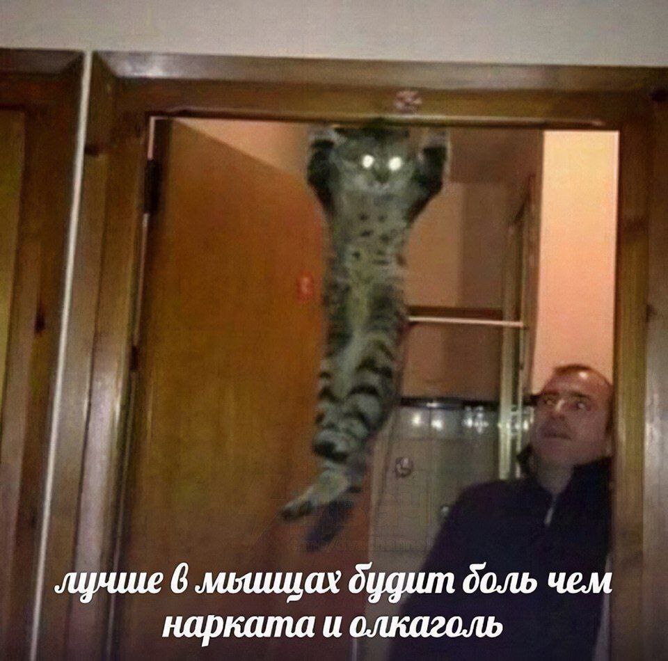 лунше 6 будит боль чем нарката и олкаголь