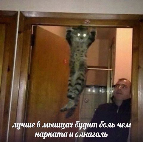 лунше 6 будит боль чем нарката и олкаголь