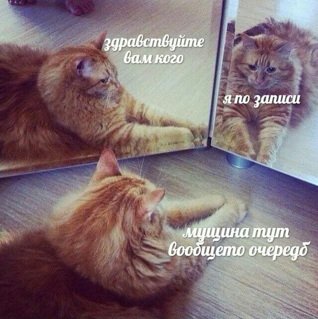 здравствуйте бам кого amo