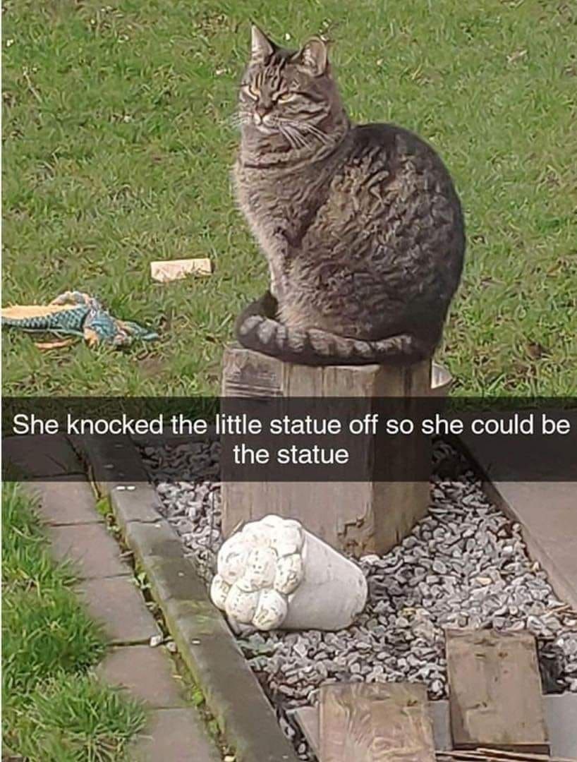 She knocked the little statue off so she could be the statue и я A