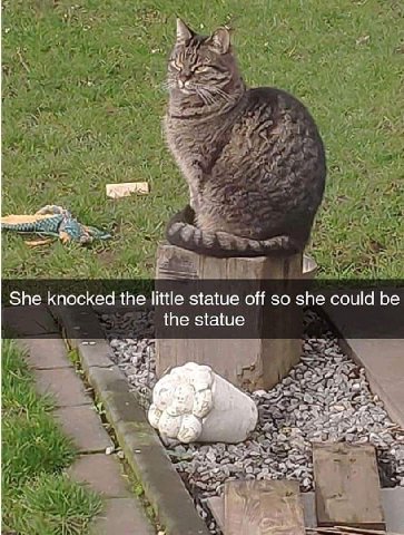 She knocked the little statue off so she could be the statue и я A