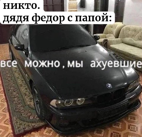 никто. дядя федор с папой: все можно, мы ахуевшие
