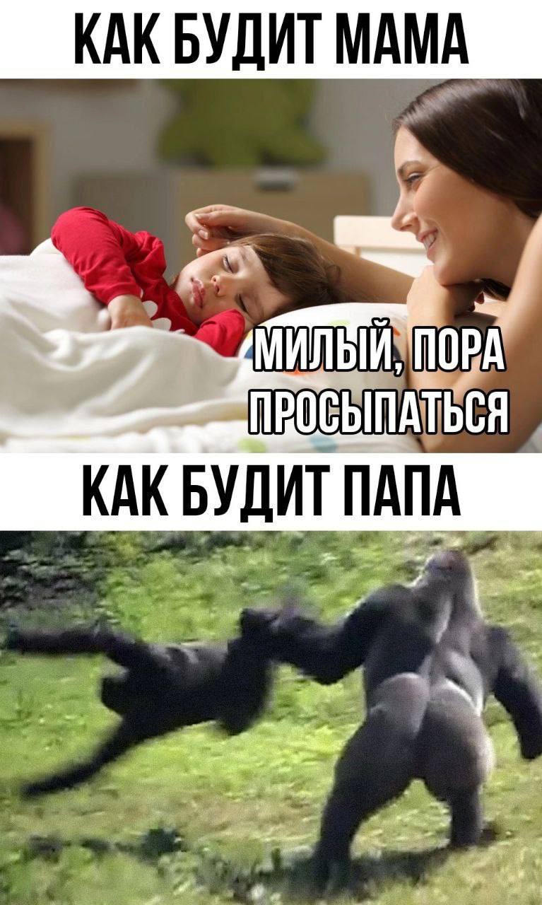 КАК БУДИТ МАМА ПОР КАК БУДИТ