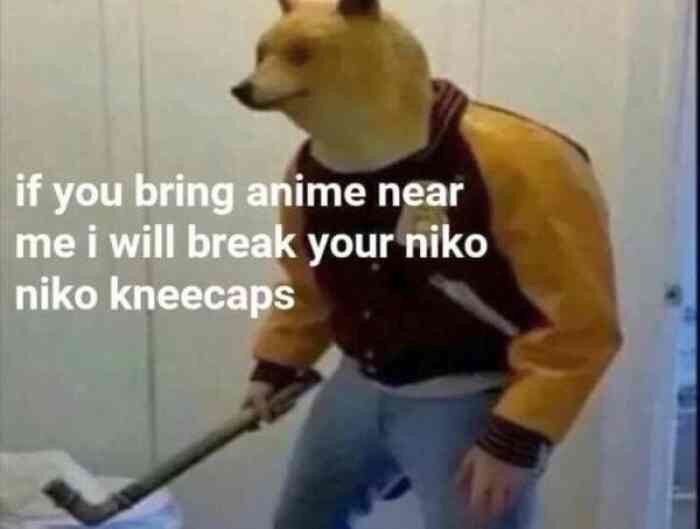 if you bring anime near me i will break your niko niko kneecaps